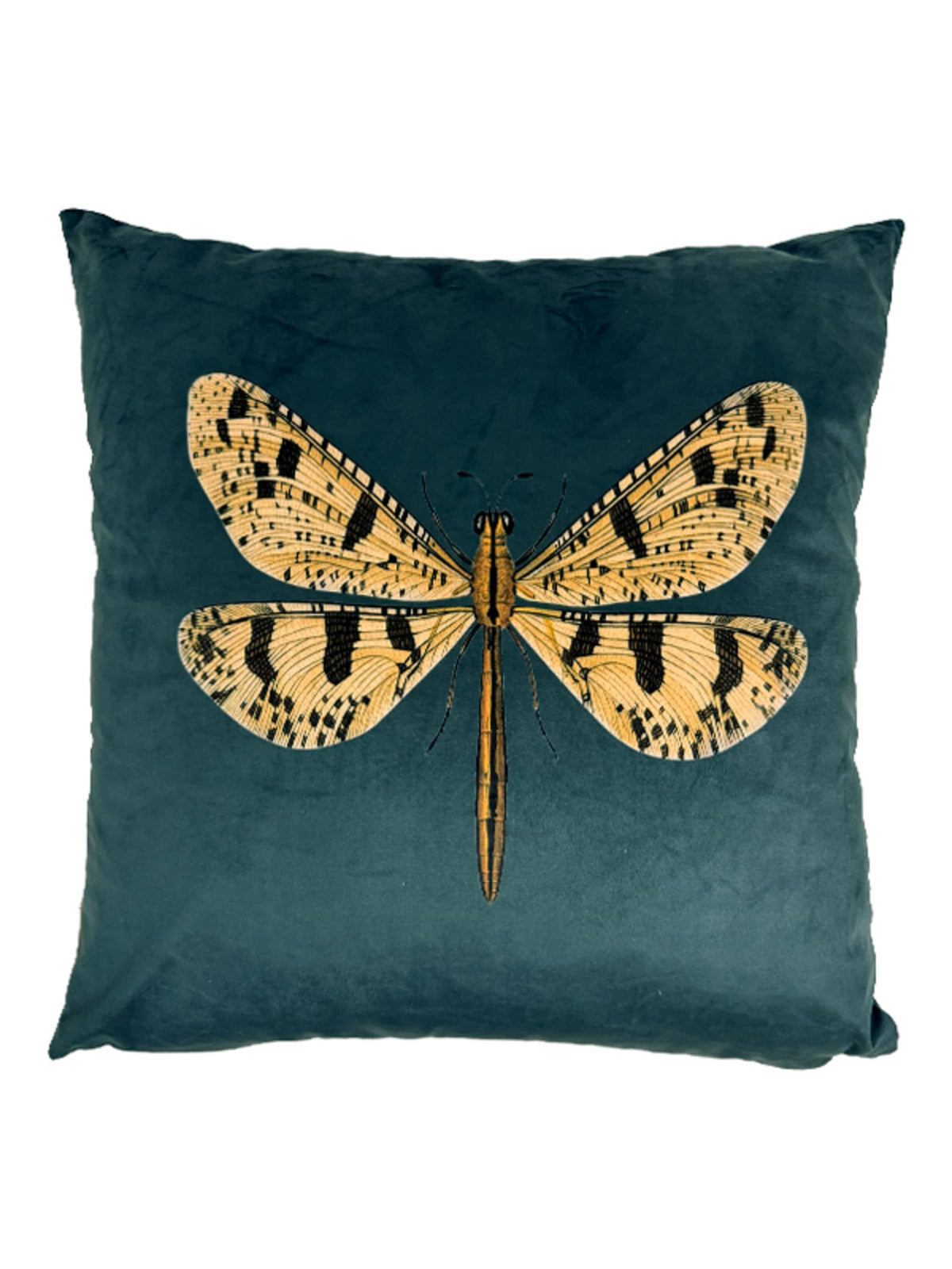 TULOSSA! VanillaFly tyynynpäällinen Belle Butterfly sametti 50x50 cm
